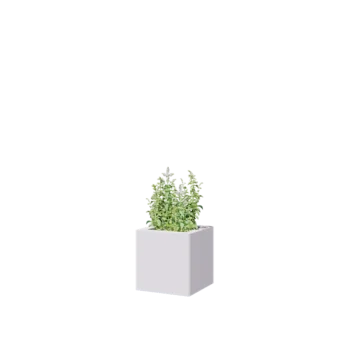Teräksinen istutuslaatikko - Neliönmuotoiset - 30 x 30 x 30 cm - RAL9010 matta (valkoinen) - Pohjalevyllä