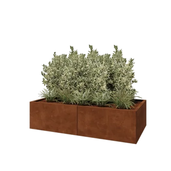 Corten-teräksinen istutuslaatikko XXL - Suorakaiteen muotoiset - 160 x 80 x 40 cm - Pohjalevyllä