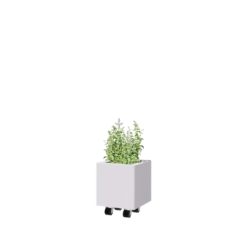 Teräksinen istutuslaatikko - Neliönmuotoiset - 30 x 30 x 30 cm - RAL9010 matta (valkoinen) - Pohjalevyllä - Pyörillä