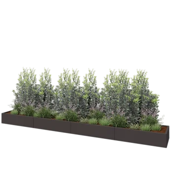 Teräksinen istutuslaatikko XXL - Suorakaiteen muotoiset - 480 x 60 x 30 cm - RAL7016 matta (antrasiitinharmaa) - Ilman pohjalevyä