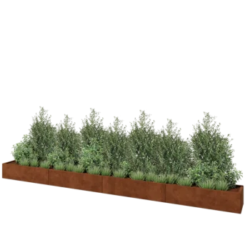 Corten-teräksinen istutuslaatikko XXL - Suorakaiteen muotoiset - 480 x 40 x 30 cm - Pohjalevyllä