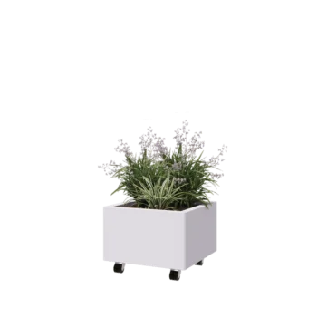 Teräksinen istutuslaatikko - Neliönmuotoiset - 50 x 50 x 30 cm - RAL9010 matta (valkoinen) - Pohjalevyllä - Pyörillä