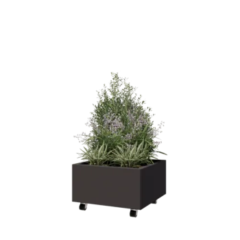 Teräksinen istutuslaatikko - Neliönmuotoiset - 60 x 60 x 30 cm - RAL7016 matta (antrasiitinharmaa) - Pohjalevyllä - Pyörillä