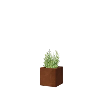 Corten-teräksinen istutuslaatikko - Neliönmuotoiset - 30 x 30 x 30 cm - Ilman pohjalevyä