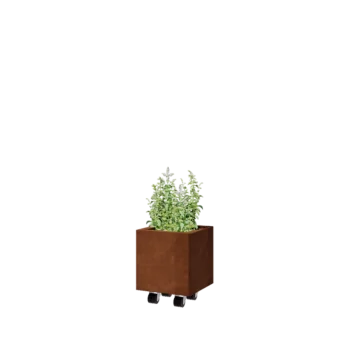 Corten-teräksinen istutuslaatikko - Neliönmuotoiset - 30 x 30 x 30 cm - Pohjalevyllä - Pyörillä