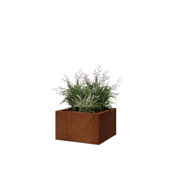 Corten-teräksinen istutuslaatikko - Neliönmuotoiset - 50 x 50 x 30 cm - Pohjalevyllä