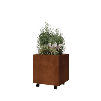 Corten-teräksinen istutuslaatikko - Neliönmuotoiset - 50 x 50 x 50 cm - Pohjalevyllä - Pyörillä