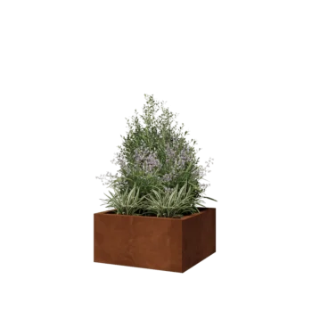 Corten-teräksinen istutuslaatikko - Neliönmuotoiset - 60 x 60 x 30 cm - Pohjalevyllä