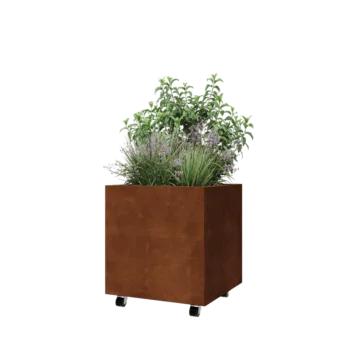 Corten-teräksinen istutuslaatikko - Neliönmuotoiset - 60 x 60 x 60 cm - Pohjalevyllä - Pyörillä