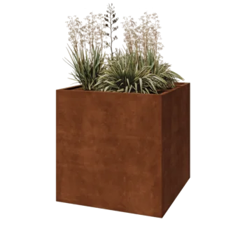 Corten-teräksinen istutuslaatikko - Neliönmuotoiset - 100 x 100 x 100 cm - Ilman pohjalevyä
