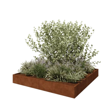 Corten-teräksinen istutuslaatikko XXL - Neliönmuotoiset - 240 x 240 x 30 cm - Ilman pohjalevyä