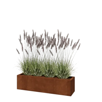 Corten-teräksinen istutuslaatikko - Suorakaiteen muotoiset - 120 x 30 x 30 cm - Ilman pohjalevyä