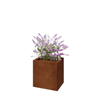 Corten-teräksinen istutuslaatikko - Suorakaiteen muotoiset - 40 x 30 x 40 cm - Pohjalevyllä