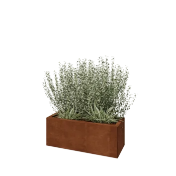 Corten-teräksinen istutuslaatikko - Suorakaiteen muotoiset - 80 x 30 x 30 cm - Pohjalevyllä