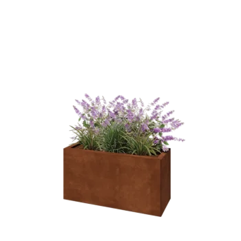 Corten-teräksinen istutuslaatikko - Suorakaiteen muotoiset - 80 x 30 x 40 cm - Ilman pohjalevyä