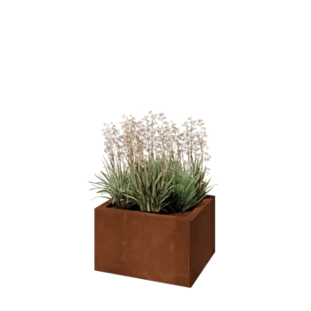 Corten-teräksinen istutuslaatikko - Suorakaiteen muotoiset - 50 x 40 x 30 cm - Ilman pohjalevyä