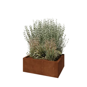 Corten-teräksinen istutuslaatikko - Suorakaiteen muotoiset - 80 x 60 x 30 cm - Ilman pohjalevyä