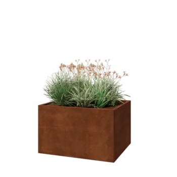 Corten-teräksinen istutuslaatikko - Suorakaiteen muotoiset - 100 x 80 x 60 cm - Pohjalevyllä