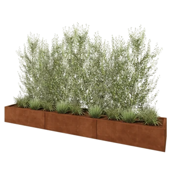 Corten-teräksinen istutuslaatikko XXL - Suorakaiteen muotoiset - 300 x 50 x 30 cm - Ilman pohjalevyä