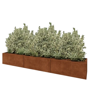 Corten-teräksinen istutuslaatikko XXL - Suorakaiteen muotoiset - 300 x 50 x 40 cm - Ilman pohjalevyä