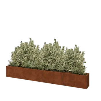 Corten-teräksinen istutuslaatikko XXL - Suorakaiteen muotoiset - 320 x 30 x 40 cm - Ilman pohjalevyä