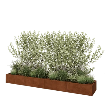 Corten-teräksinen istutuslaatikko XXL - Suorakaiteen muotoiset - 320 x 50 x 30 cm - Pohjalevyllä