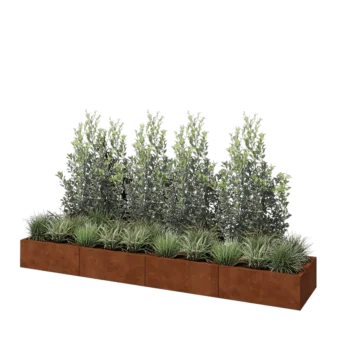 Corten-teräksinen istutuslaatikko XXL - Suorakaiteen muotoiset - 320 x 60 x 30 cm - Pohjalevyllä