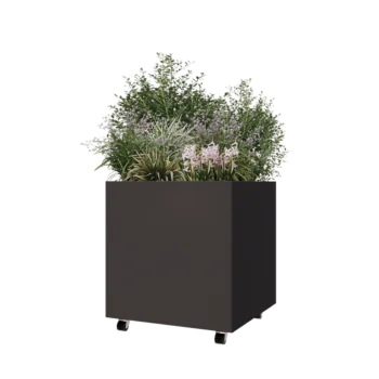 Teräksinen istutuslaatikko - Neliönmuotoiset - 70 x 70 x 70 cm - Muu RAL-väri - Pohjalevyllä - Pyörillä