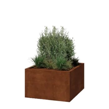 Corten-teräksinen istutuslaatikko - Neliönmuotoiset - 100 x 100 x 60 cm - Hitsattu - Ilman pohjalevyä