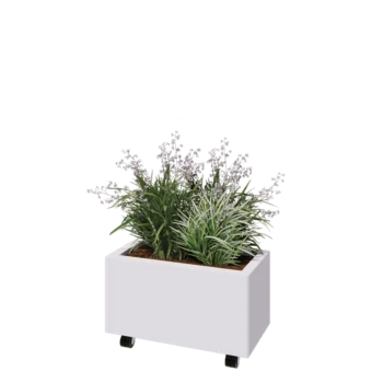 Teräksinen istutuslaatikko - Suorakaiteen muotoiset - 60 x 30 x 30 cm - RAL9010 matta (valkoinen) - Pohjalevyllä - Pyörillä