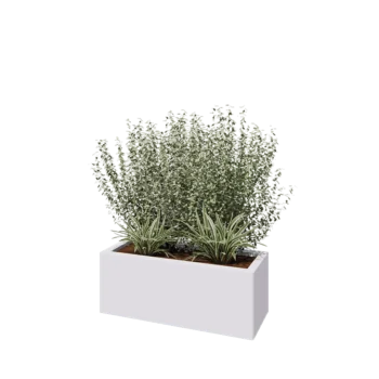 Teräksinen istutuslaatikko - Suorakaiteen muotoiset - 80 x 30 x 30 cm - RAL9010 matta (valkoinen) - Ilman pohjalevyä
