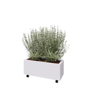Teräksinen istutuslaatikko - Suorakaiteen muotoiset - 80 x 30 x 30 cm - RAL9010 matta (valkoinen) - Pohjalevyllä - Pyörillä