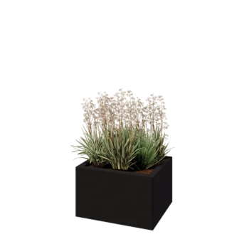 Teräksinen istutuslaatikko - Suorakaiteen muotoiset - 50 x 40 x 30 cm - RAL9005 matta (musta) - Ilman pohjalevyä