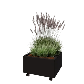 Teräksinen istutuslaatikko - Suorakaiteen muotoiset - 60 x 50 x 30 cm - RAL9005 matta (musta) - Pohjalevyllä - Pyörillä