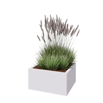 Teräksinen istutuslaatikko - Suorakaiteen muotoiset - 60 x 50 x 30 cm - RAL9010 matta (valkoinen) - Ilman pohjalevyä