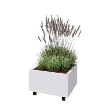 Teräksinen istutuslaatikko - Suorakaiteen muotoiset - 60 x 50 x 30 cm - RAL9010 matta (valkoinen) - Pohjalevyllä - Pyörillä