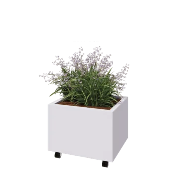 Teräksinen istutuslaatikko - Suorakaiteen muotoiset - 60 x 50 x 40 cm - RAL9010 matta (valkoinen) - Pohjalevyllä - Pyörillä