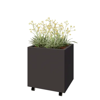 Teräksinen istutuslaatikko - Suorakaiteen muotoiset - 60 x 50 x 60 cm - Muu RAL-väri - Pohjalevyllä - Pyörillä