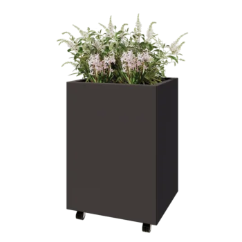 Teräksinen istutuslaatikko - Suorakaiteen muotoiset - 60 x 50 x 80 cm - RAL7016 matta (antrasiitinharmaa) - Pohjalevyllä - Pyörillä