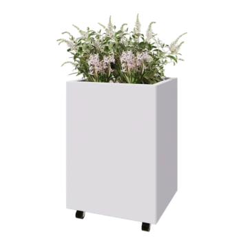Teräksinen istutuslaatikko - Suorakaiteen muotoiset - 60 x 50 x 80 cm - RAL9010 matta (valkoinen) - Pohjalevyllä - Pyörillä