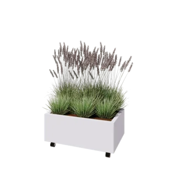 Teräksinen istutuslaatikko - Suorakaiteen muotoiset - 80 x 50 x 30 cm - RAL9010 matta (valkoinen) - Pohjalevyllä - Pyörillä
