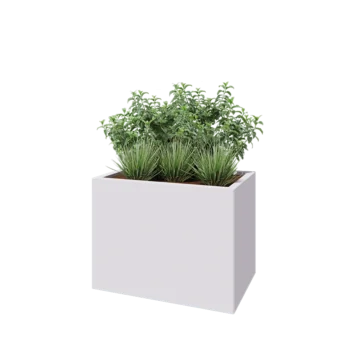 Teräksinen istutuslaatikko - Suorakaiteen muotoiset - 80 x 50 x 60 cm - RAL9010 matta (valkoinen) - Ilman pohjalevyä