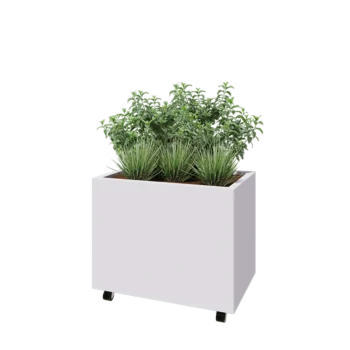 Teräksinen istutuslaatikko - Suorakaiteen muotoiset - 80 x 50 x 60 cm - RAL9010 matta (valkoinen) - Pohjalevyllä - Pyörillä