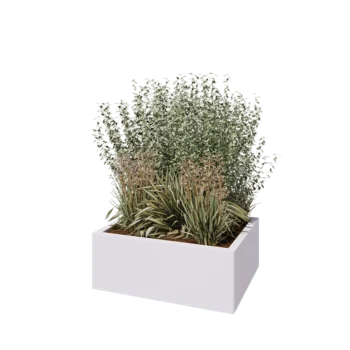 Teräksinen istutuslaatikko - Suorakaiteen muotoiset - 80 x 60 x 30 cm - RAL9010 matta (valkoinen) - Ilman pohjalevyä