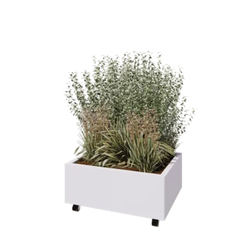Teräksinen istutuslaatikko - Suorakaiteen muotoiset - 80 x 60 x 30 cm - RAL9010 matta (valkoinen) - Pohjalevyllä - Pyörillä