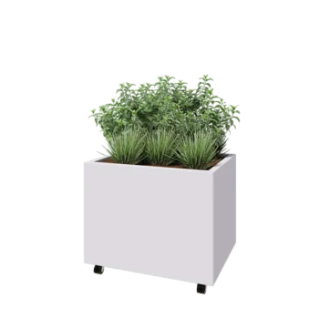 Teräksinen istutuslaatikko - Suorakaiteen muotoiset - 80 x 60 x 60 cm - RAL9010 matta (valkoinen) - Pohjalevyllä - Pyörillä