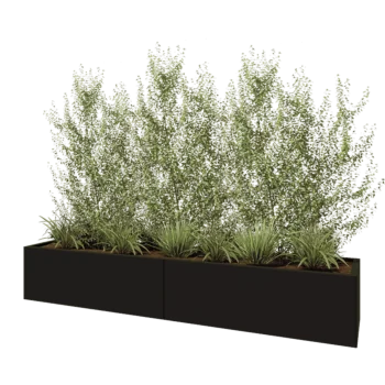 Teräksinen istutuslaatikko XXL - Suorakaiteen muotoiset - 240 x 50 x 40 cm - RAL9005 matta (musta) - Pohjalevyllä