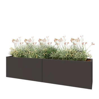 Teräksinen istutuslaatikko XXL - Suorakaiteen muotoiset - 240 x 50 x 60 cm - RAL7016 matta (antrasiitinharmaa) - Ilman pohjalevyä
