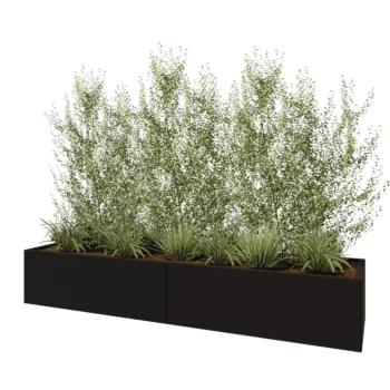 Teräksinen istutuslaatikko XXL - Suorakaiteen muotoiset - 240 x 60 x 40 cm - RAL9005 matta (musta) - Ilman pohjalevyä