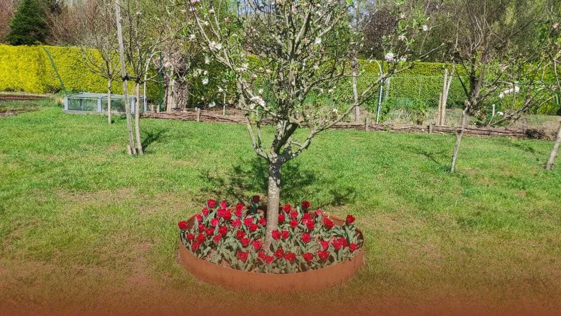 Miten teet reunuksen puun ympärille?